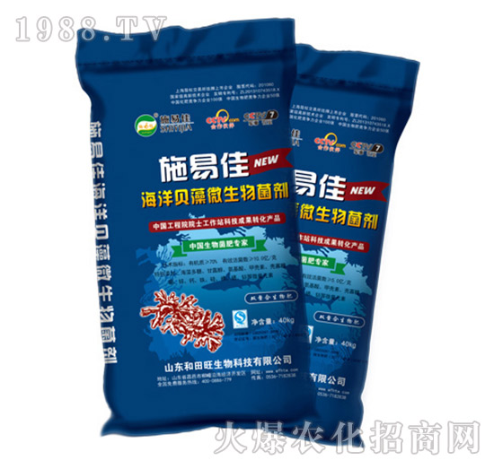 ����ؐ��΢�������-����������