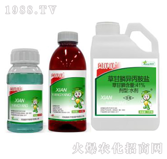 55%�ݸ�좮������}-�e����-�˹����