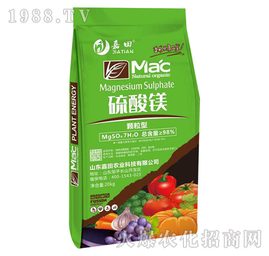 �w���������V-�����r�I(y��)