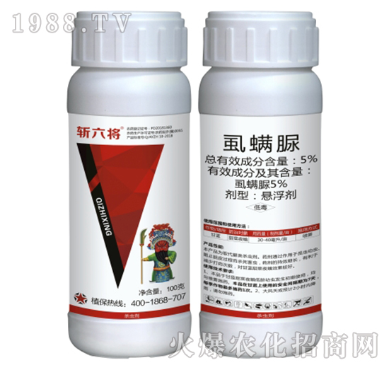 5%ʭ����-��������100�ˣ�-��֮��