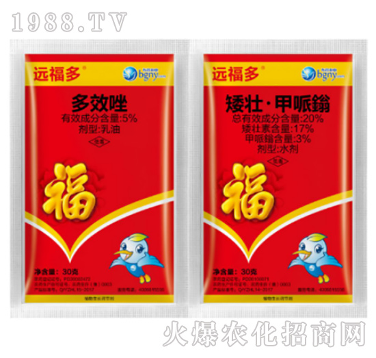 ���������{��(ji��)��-�h����-��������