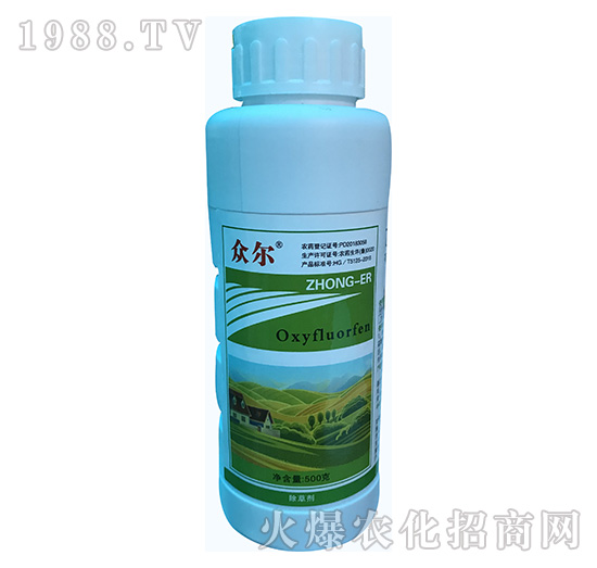 240��ÿ������������-����-�\(y��n)ʢ����