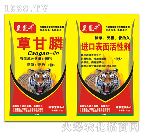 95%�ݸ��-����ţ-�ݵ�˹