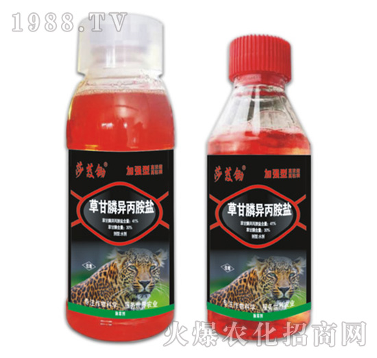 41%�ݸ�좮������}-ɯܸ�z-�ݵ�˹