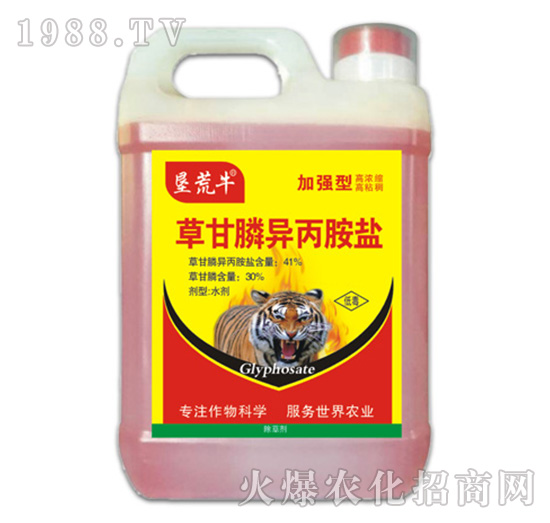 41%�ݸ�좮������}���ӏ��ͣ�-����ţ-�ݵ�˹