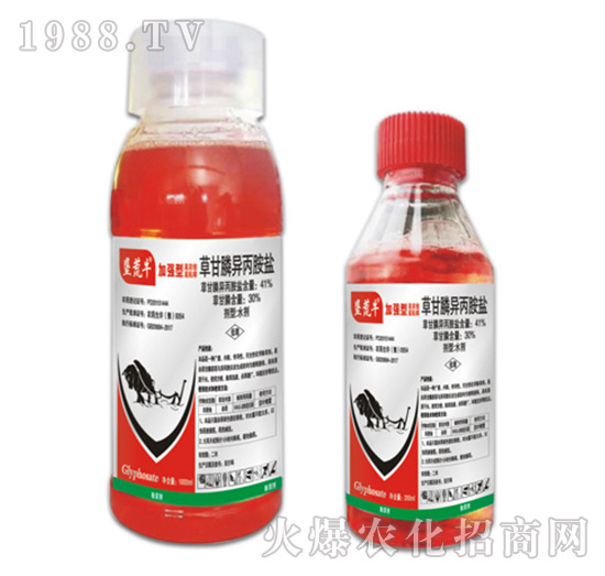 41%Ͱ�b�ݸ�좮������}-����ţ-�ݵ�˹