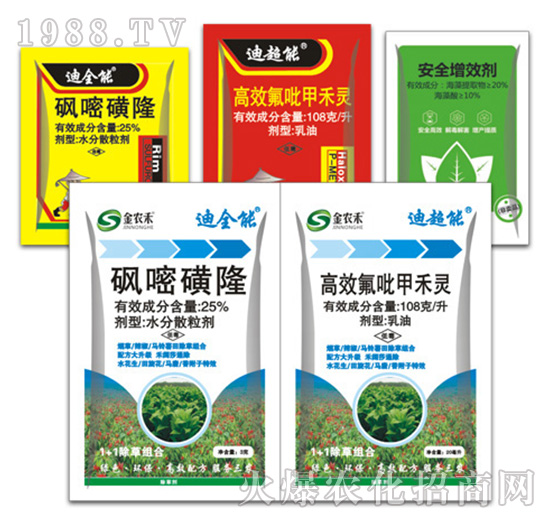 ��ȫ��+�ϳ���-�ݵ�˹