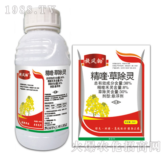 38%��ୡ��ݳ��`-���L(f��ng)�z-�ݵ�˹