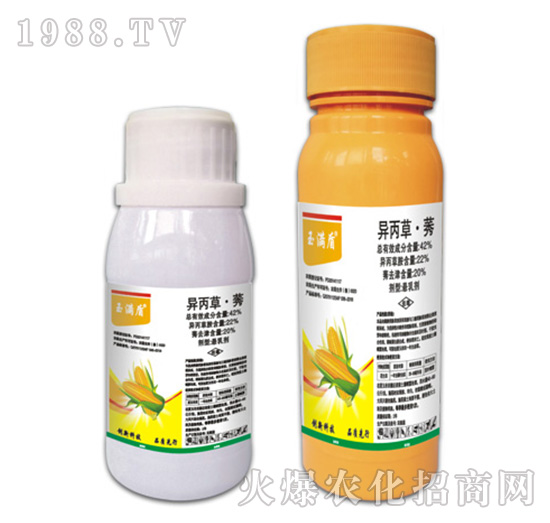 42%�����ݡ�ݬ-��M��-�ݵ�˹