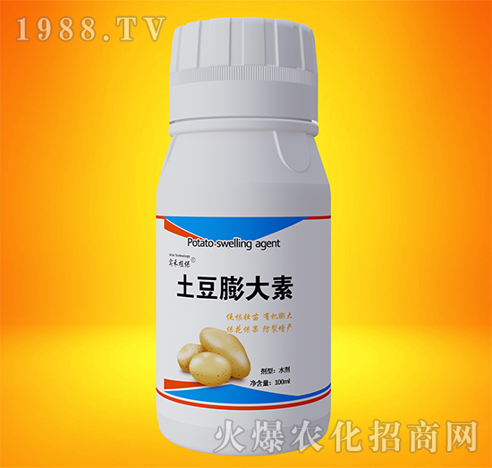 ���������-����