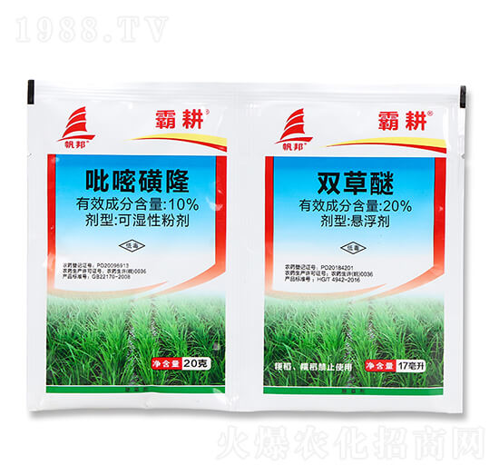 10%���׻�¡+20%�p����-�Ը�-ϲ�S��