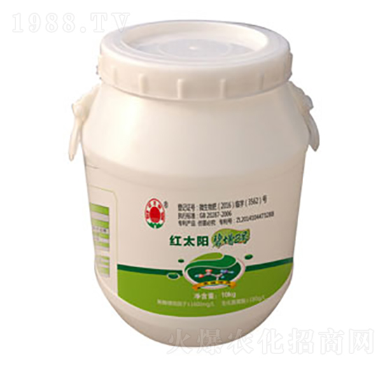 ����2̖(h��o)�~���-�ư�