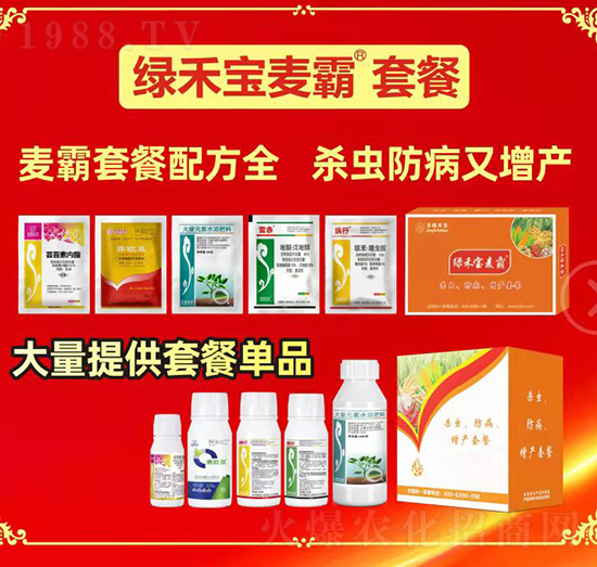 �G�̌������ײ�-�A�S�r�I(y��)