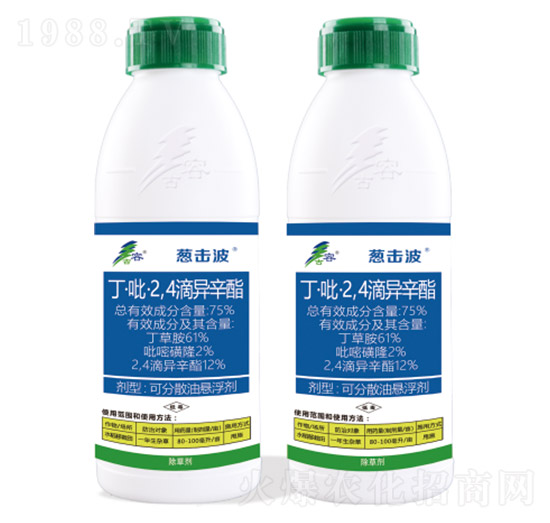 75%��������2��4���ή���֬-�[����-����