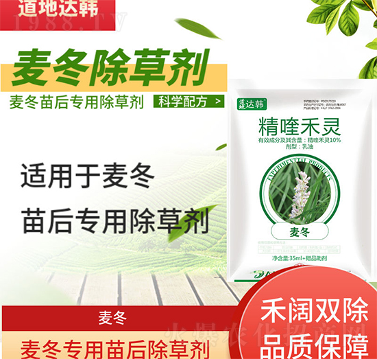 �������݄�-�������-������(zhu��n)��-���n