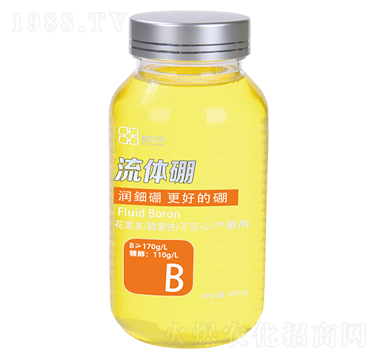 ���w�� ������