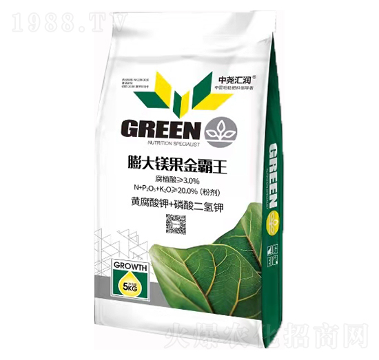 ����V������� �Ј�R��