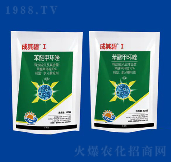 10%���Ѽ׭h(hu��n)�� �����I ��Ƚ���W(xu��)