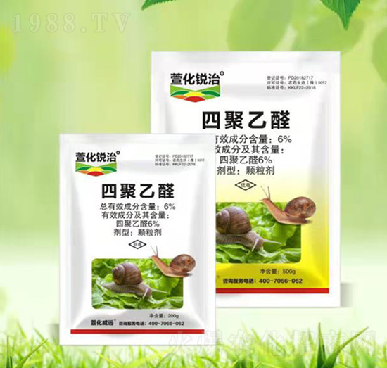 6%�ľ���ȩ-�滯�J��-�滯���h