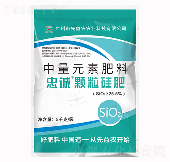 ����Ԫ�ط���-���\�w�����-�����r