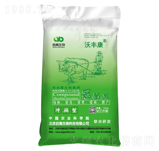 �ھ��`��(f��)��΢�������-���S��-��������