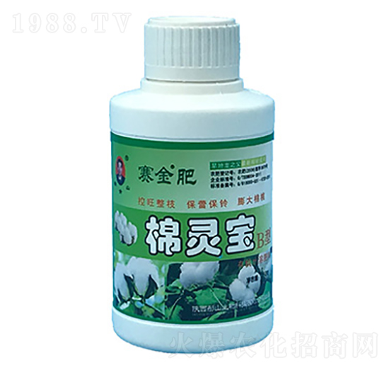 ���`��B��-ِ���-ͮɽ����