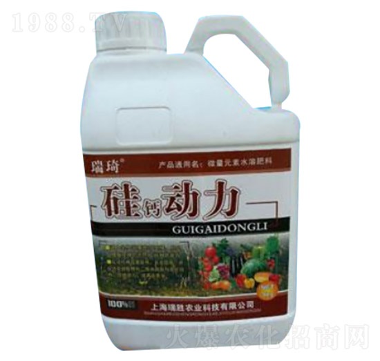 ���}��(d��ng)��-����-�����r(n��ng)�I(y��)