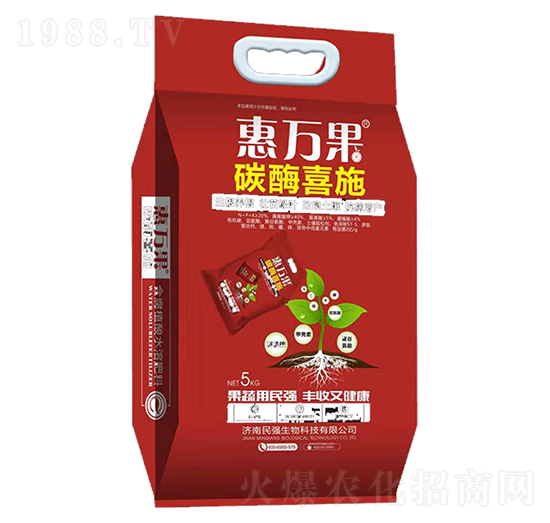 ̼øϲʩ-���f��-������