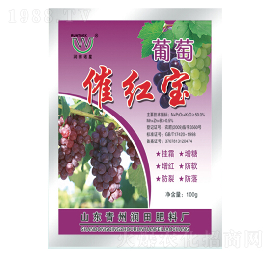 ���Ѵ߼t��-�������