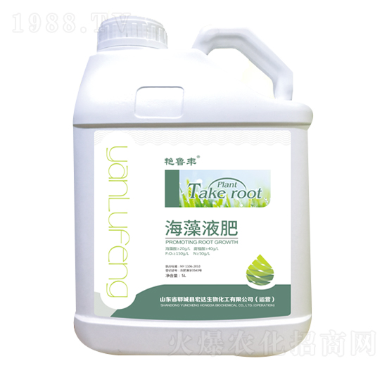 ����Һ��-�G���S-���_����