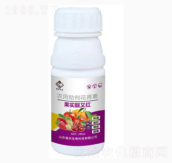 �r������������-�����n�ּt-���r