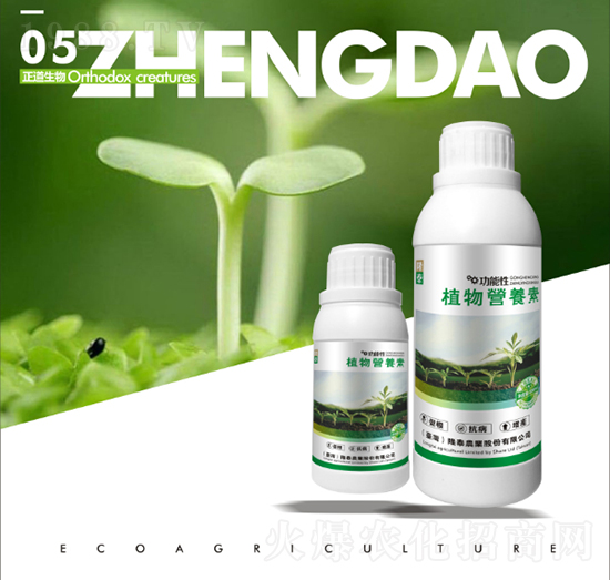 ֲ��I(y��ng)�B(y��ng)��-��������