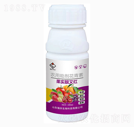 �����n�ּt-���r