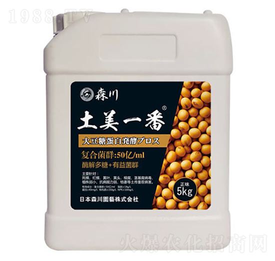 ����һ�������;���-ɭ��-����