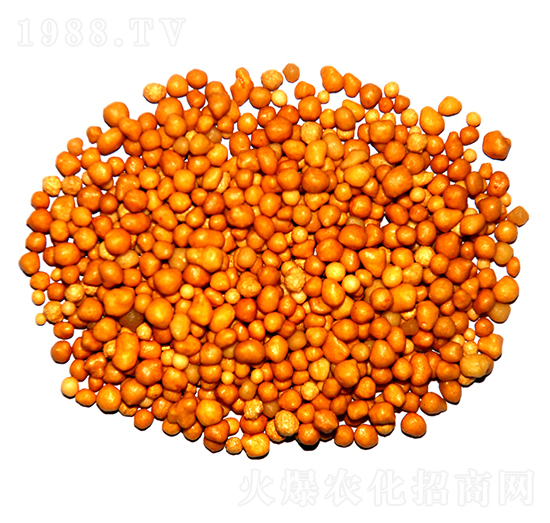 ����n�w����ጷ�15-7-13-ïʩ����