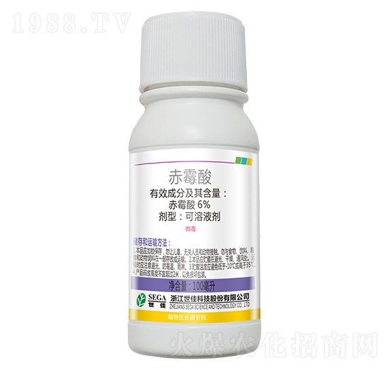 6%��ù��-����