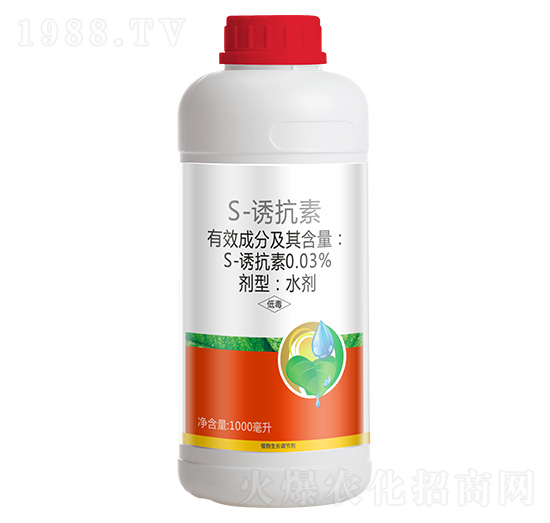 0.03%S-�T����-������-����