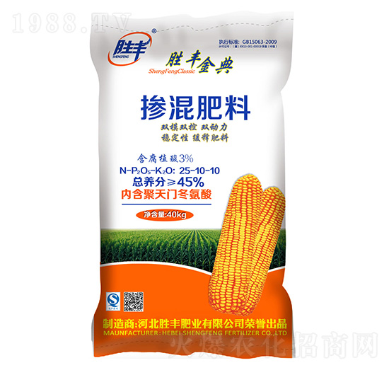 �pģ�p�ؓ������25-10-10-���S���-���S�ʘI(y��)