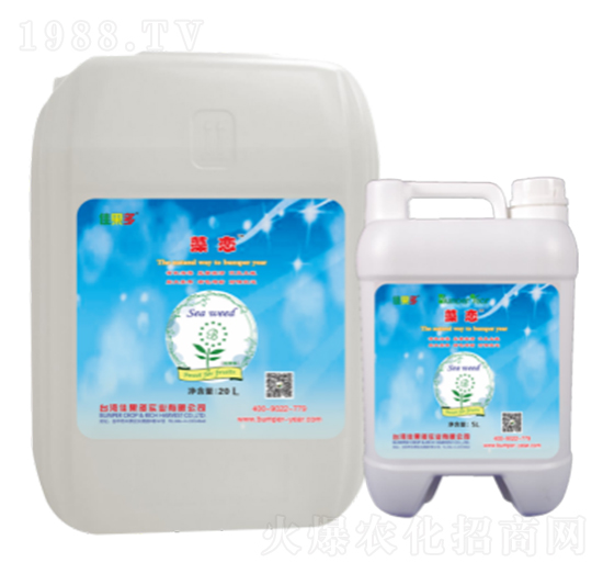 ���-�ѹ���