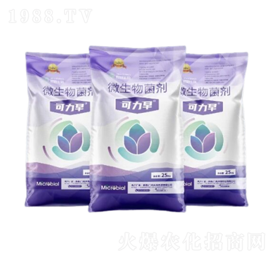 ΢�������-������-Ľ������