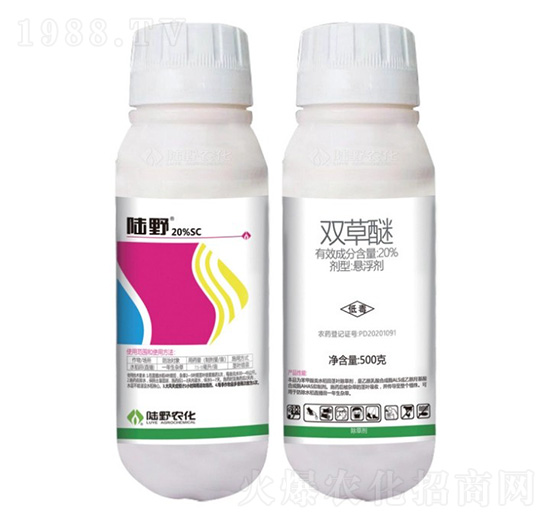 20%�p���ёҸ���-�Ұ�r��