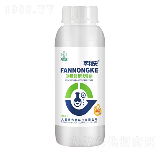 �澳�ޏ�(f��)�T��(d��o)��-������-���r(n��ng)��