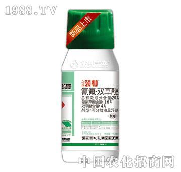 20%����p����-�I(l��ng)�i