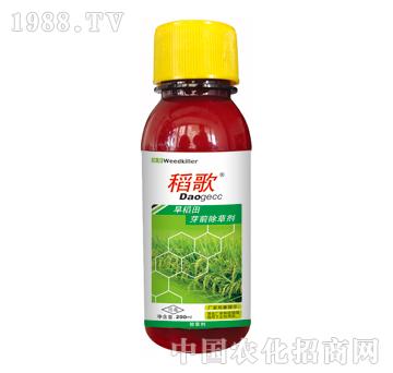 ����-̩�(y��ng)