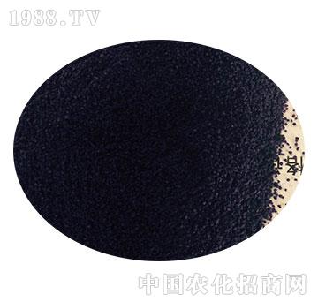 ��ɫ�w����-�����r(n��ng)ˎ