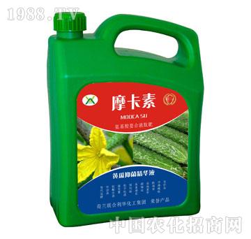 �S���־����AҺ-Ħ����