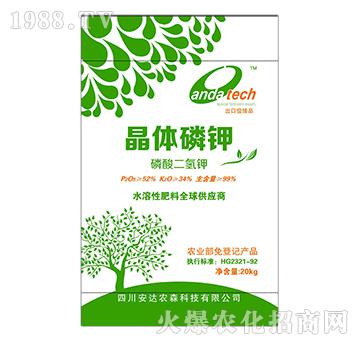 ���w���-��������-���_