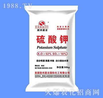 �����-(li��n)��μ�