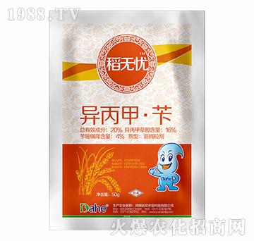 20%�����ס��S-���o(w��)�n-�h(yu��n)Ҋ(ji��n)�r(n��ng)�I(y��)