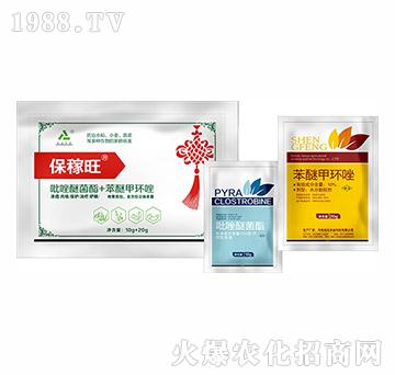 ���������b�M��-�h(yu��n)Ҋ�r(n��ng)�I(y��)